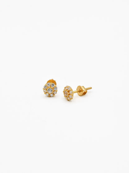 22ct Gold CZ Stud Earrings - Roop Darshan